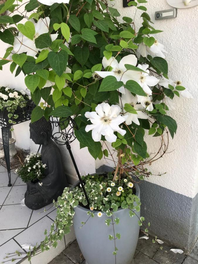 Die Gemuetlichkeit Bensheim Luaran gambar